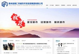 靖宇城市开发投资集团有限公司